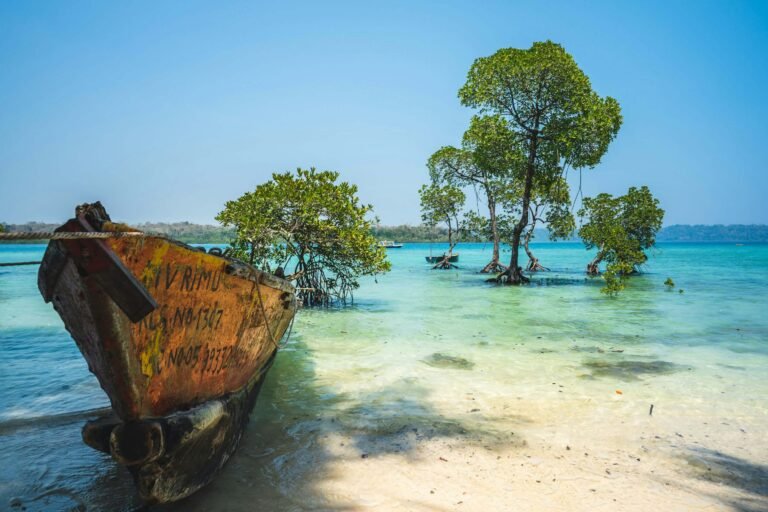 boat on beach in andaman tour with india magica tours in august